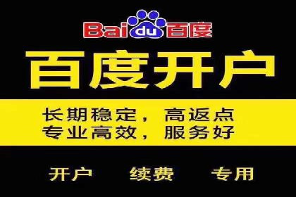 成功企业的SEM竞价优化经验与启示